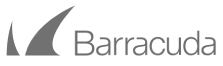 Barracuda Networks Logo Barracuda-Networks